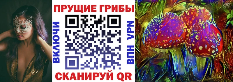 Галлюциногенные грибы Psilocybe  Купить где  Кумертау 